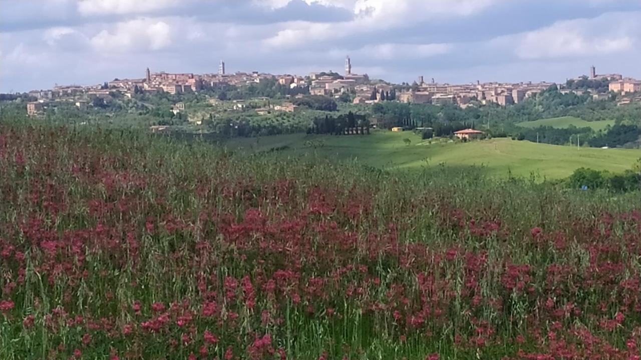 Dago Farmhouse Siena Exteriör bild