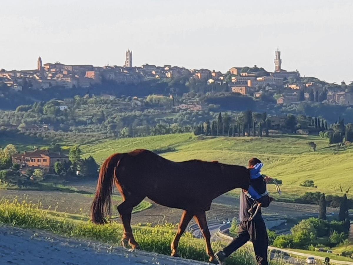 Dago Farmhouse Siena Exteriör bild